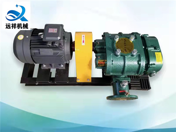 SR罗茨风机厂-YXSR直联型罗茨风机 SR罗茨风机厂-YXSR直联型罗茨风机